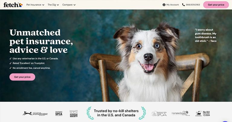 Sample pet insurance website.