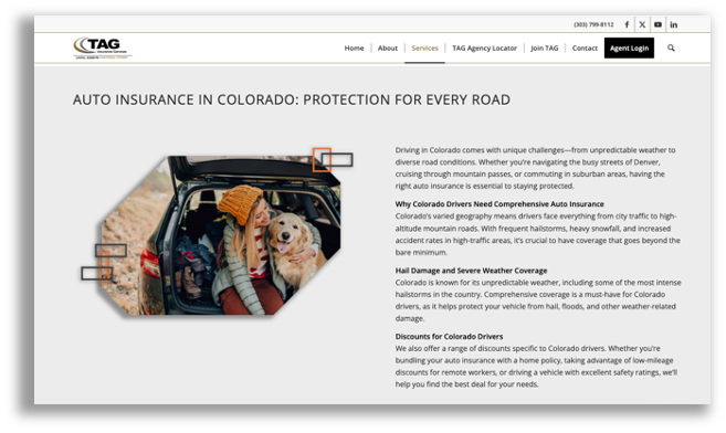 Sample auto insurance page.